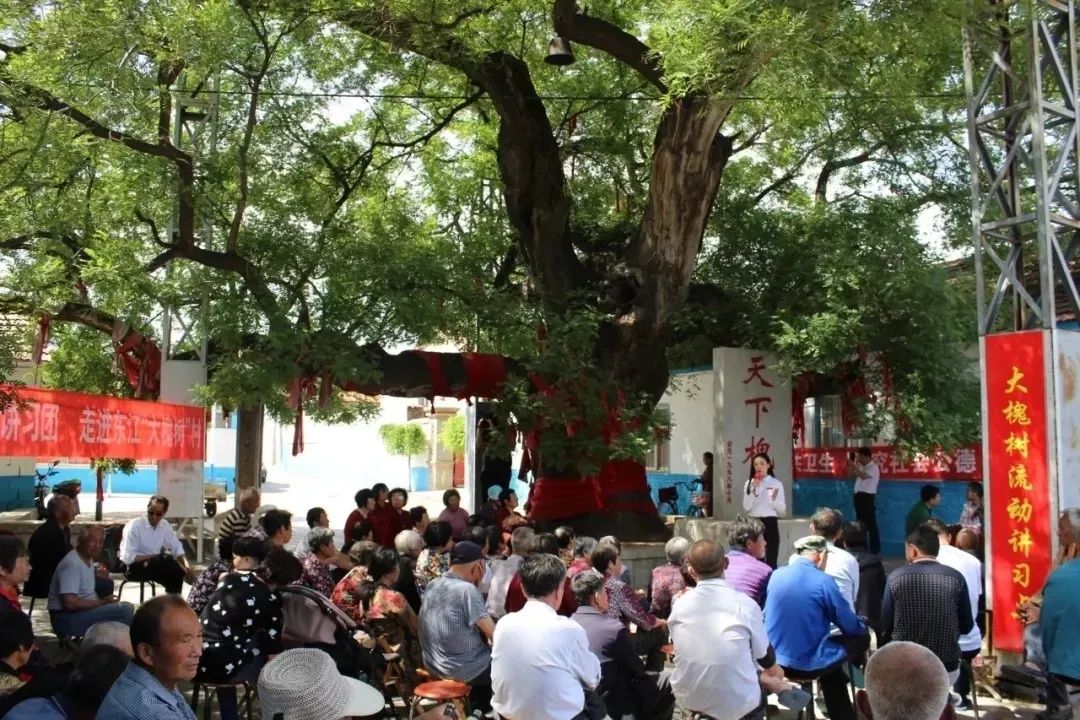 微信图片_20230725151808.jpg